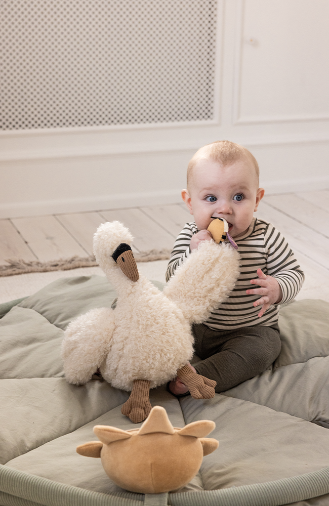 Activity Soft Toy - Swan