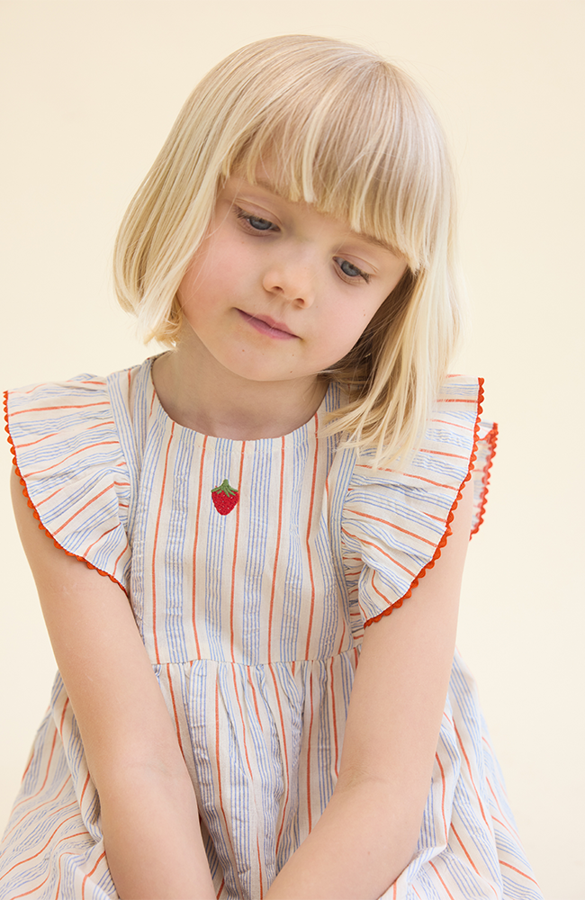 Robin Dress - Blue-tangerine Stripe Flöss Klänning