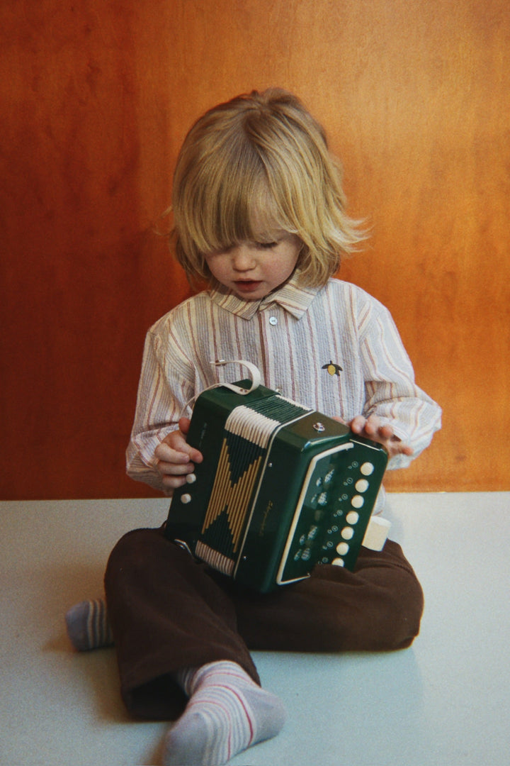 Accordion - Green