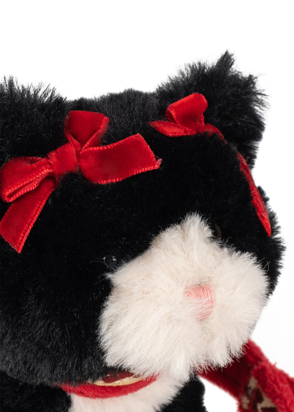 Pet Kitty - Black Beauty