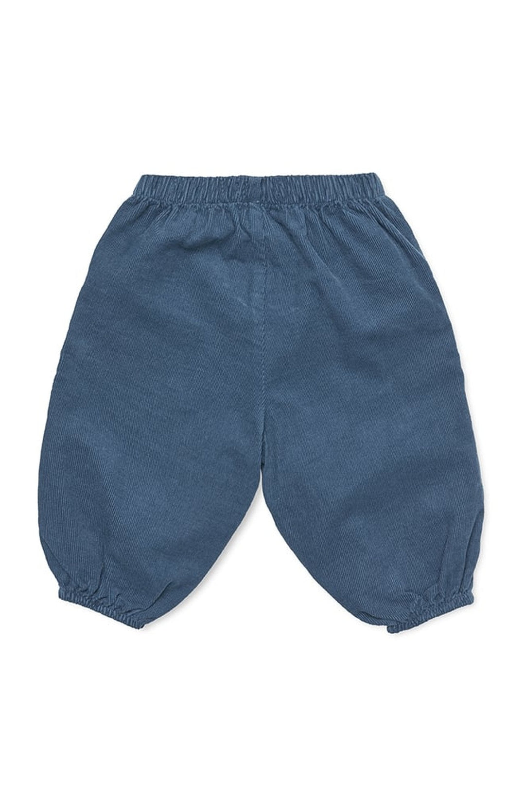 Panda Pants - Whale