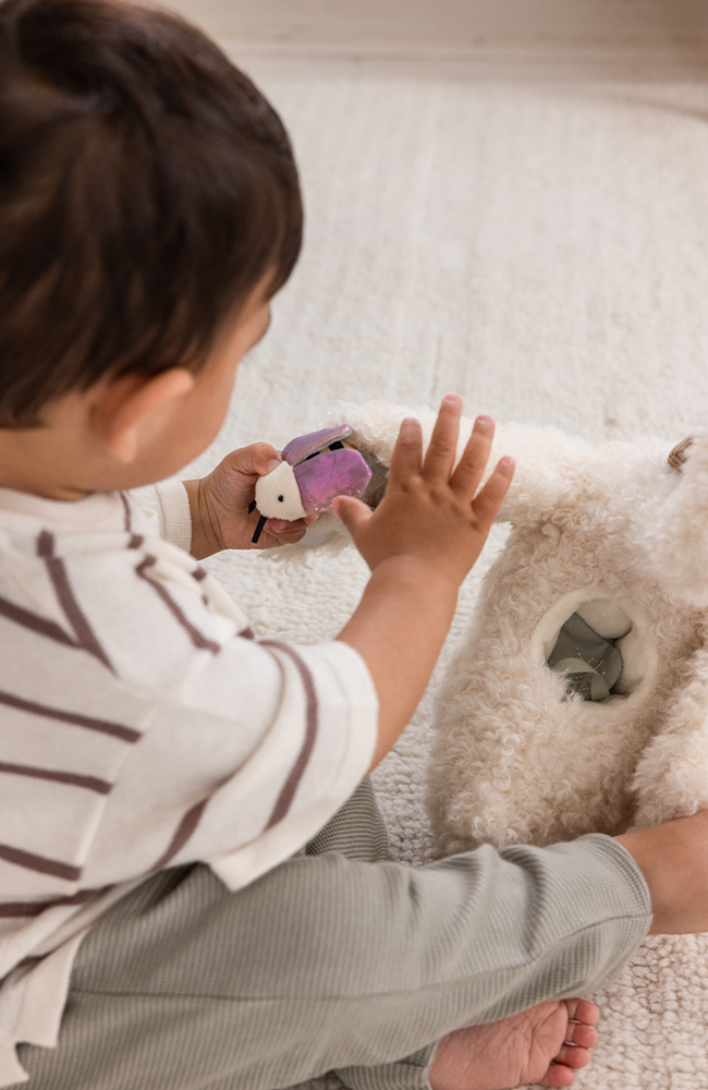 Activity Soft Toy - Swan